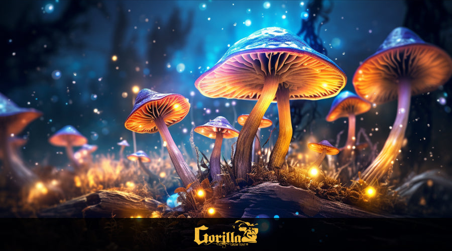 http://www.gorillagrowtent.com/cdn/shop/articles/how_to_grow_psilocybin_mushroom.webp?v=1694536084