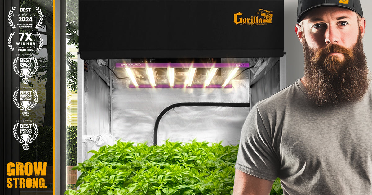 How to Create an Indoor Hydroponic Garden