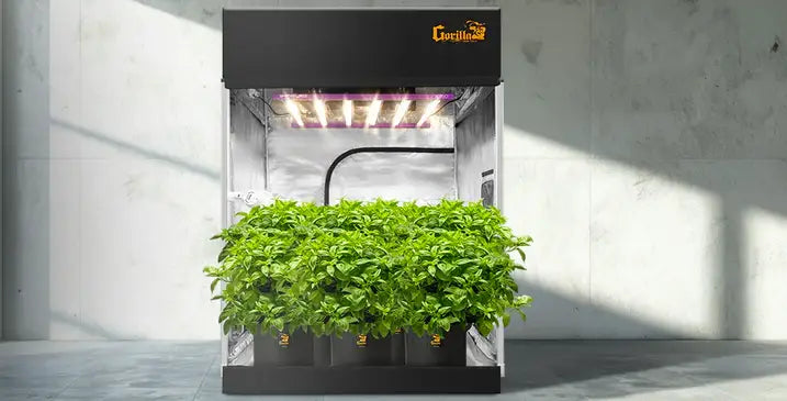 Complete Grow Tent Kit: The Ultimate Indoor Growing Solution