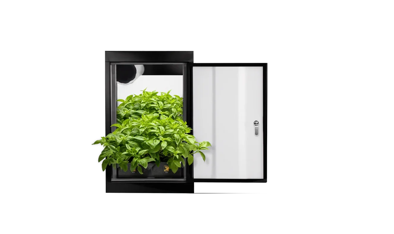 Complete Guide to Indoor Grow Rooms