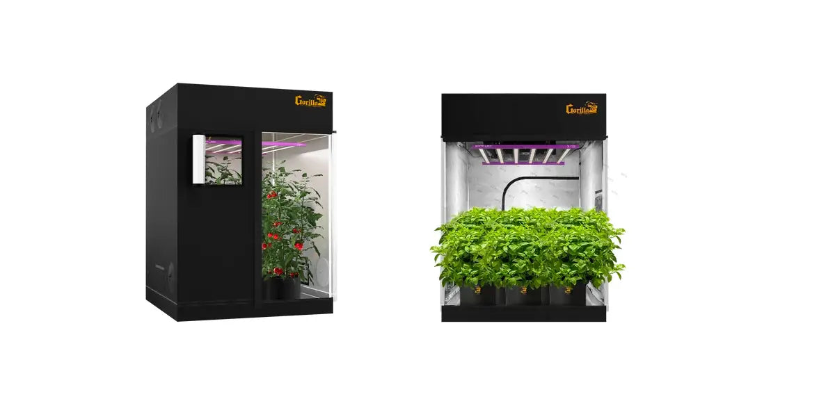 Best Methods to Increase CO2 in a Grow Tent