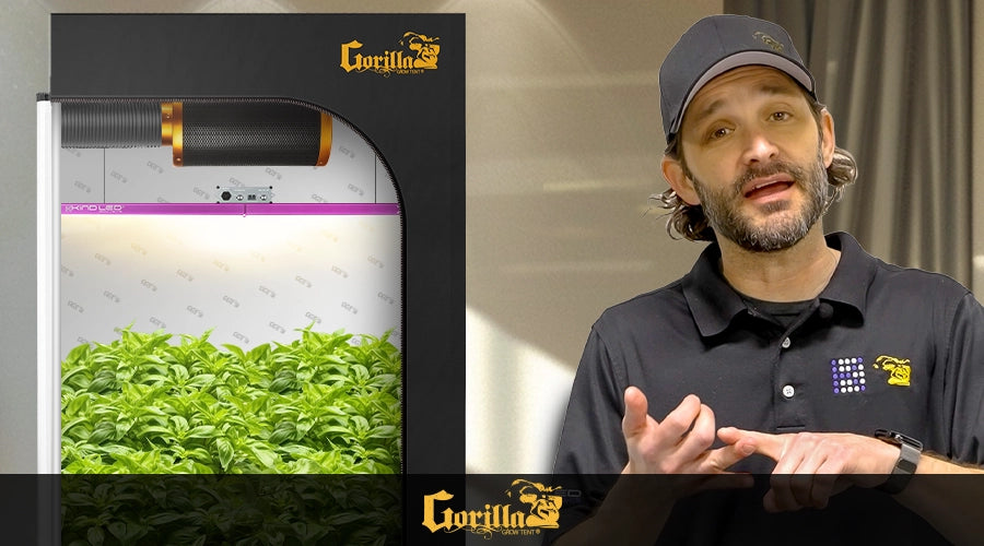 A high-quality indoor garden setup using Gorilla Grow Tent’s best equipment, showcasing vibrant plants and full-spectrum lighting in a well-organized grow tent.