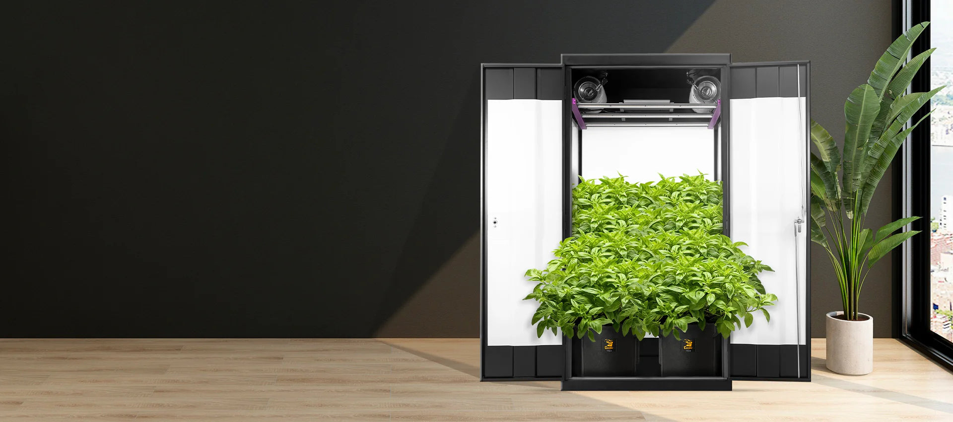 Do You Need a Grow Tent to Grow Indoors?