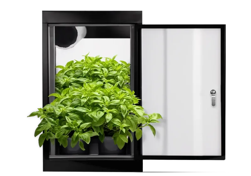 Hydroponic Grow Cabinet: Advanced Indoor Gardening Solutions