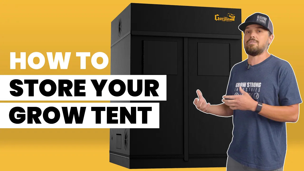 How to Set Up a Grow Room with Gorilla Grow Tent