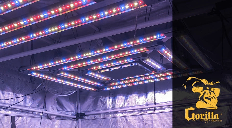 Kind LED Grow Lights: The Best Indoor Grow Lights for Your Plants