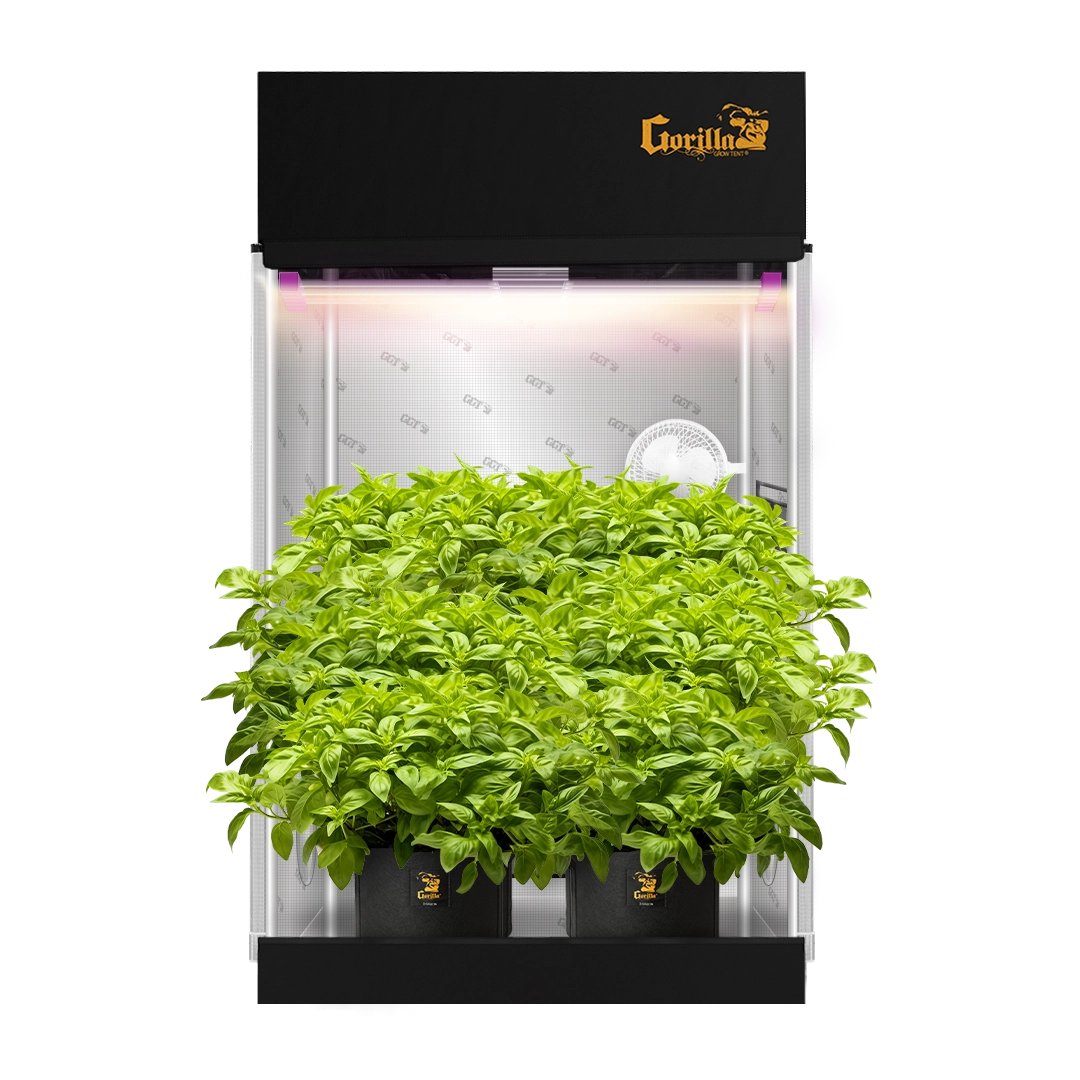 2x4 Grow Tent Kit Pro - Soil