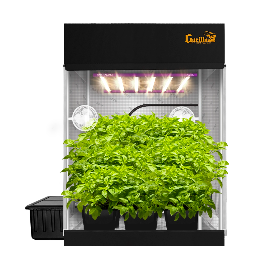 5x5 Grow Tent Kit Pro - Hydroponic with X750