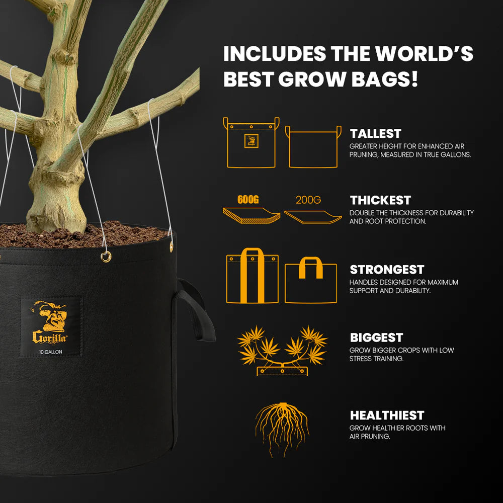 2x2.5 All New Grow Tent Kit - Soil