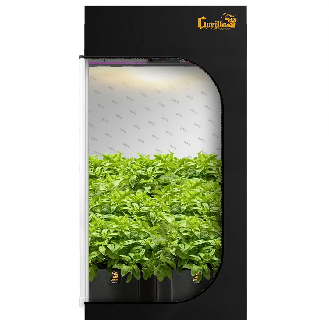 4x4 All New Grow Tent Kit - Soil