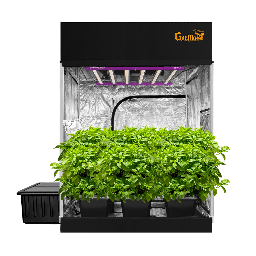 5x5 Grow Tent Kit: Complete Setup for Successful Indoor Gardening