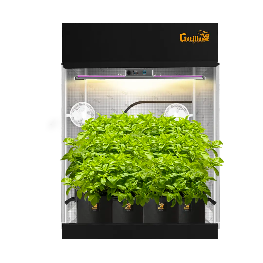 5x5 Grow Tent Kit Pro - Soil with X750