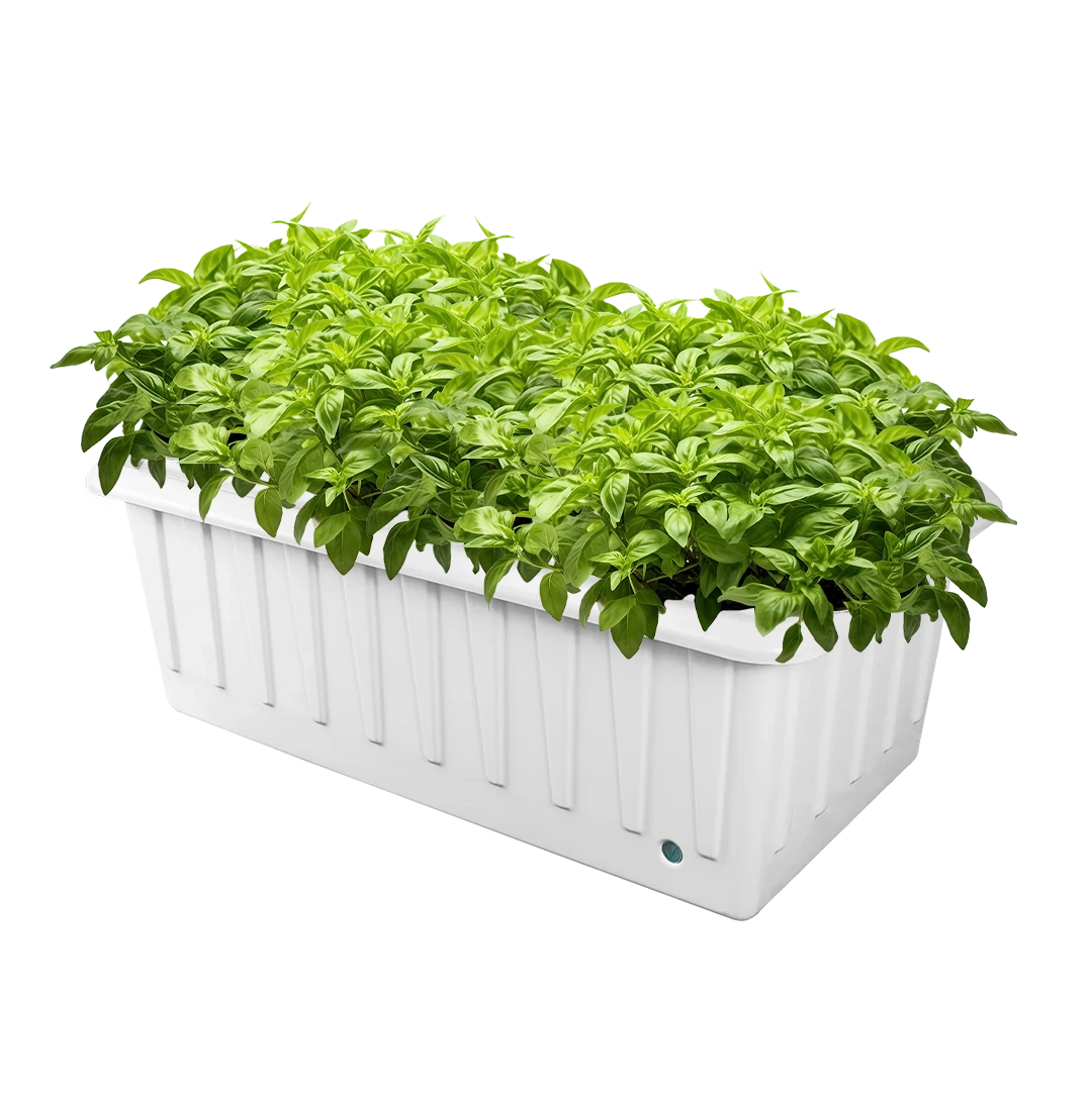 DWC Hydroponic System - XL 12: Grow bigger, faster with dual feeding systems.
