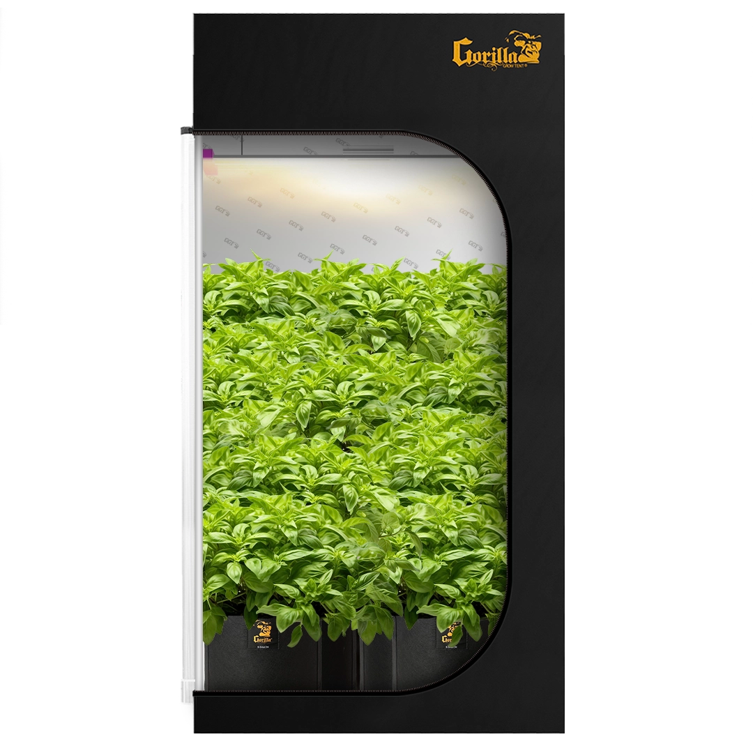 2x4 All New Grow Tent Kit - Soil