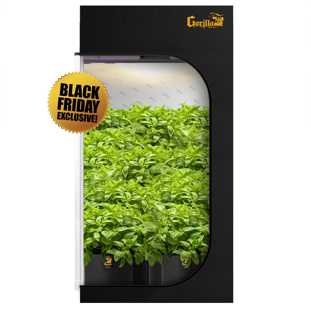 4x4 All New Grow Tent Kit - Soil with X2 V2