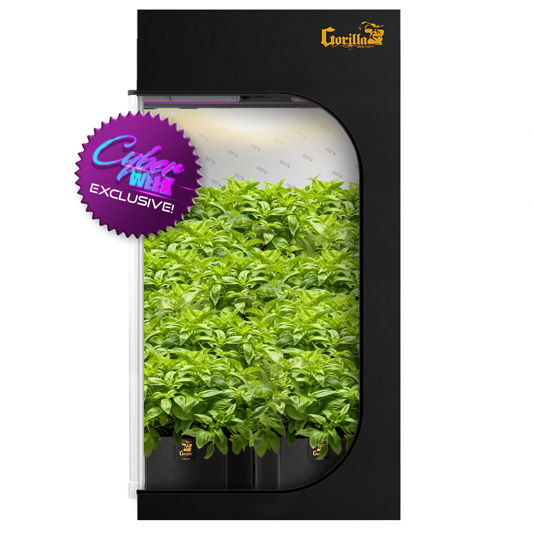 4x4 All New Grow Tent Kit - Soil with X2 V2