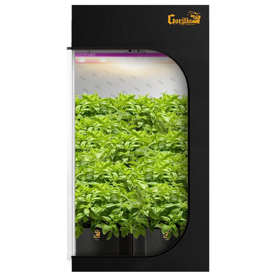 4x4 All New Grow Tent Kit - Soil