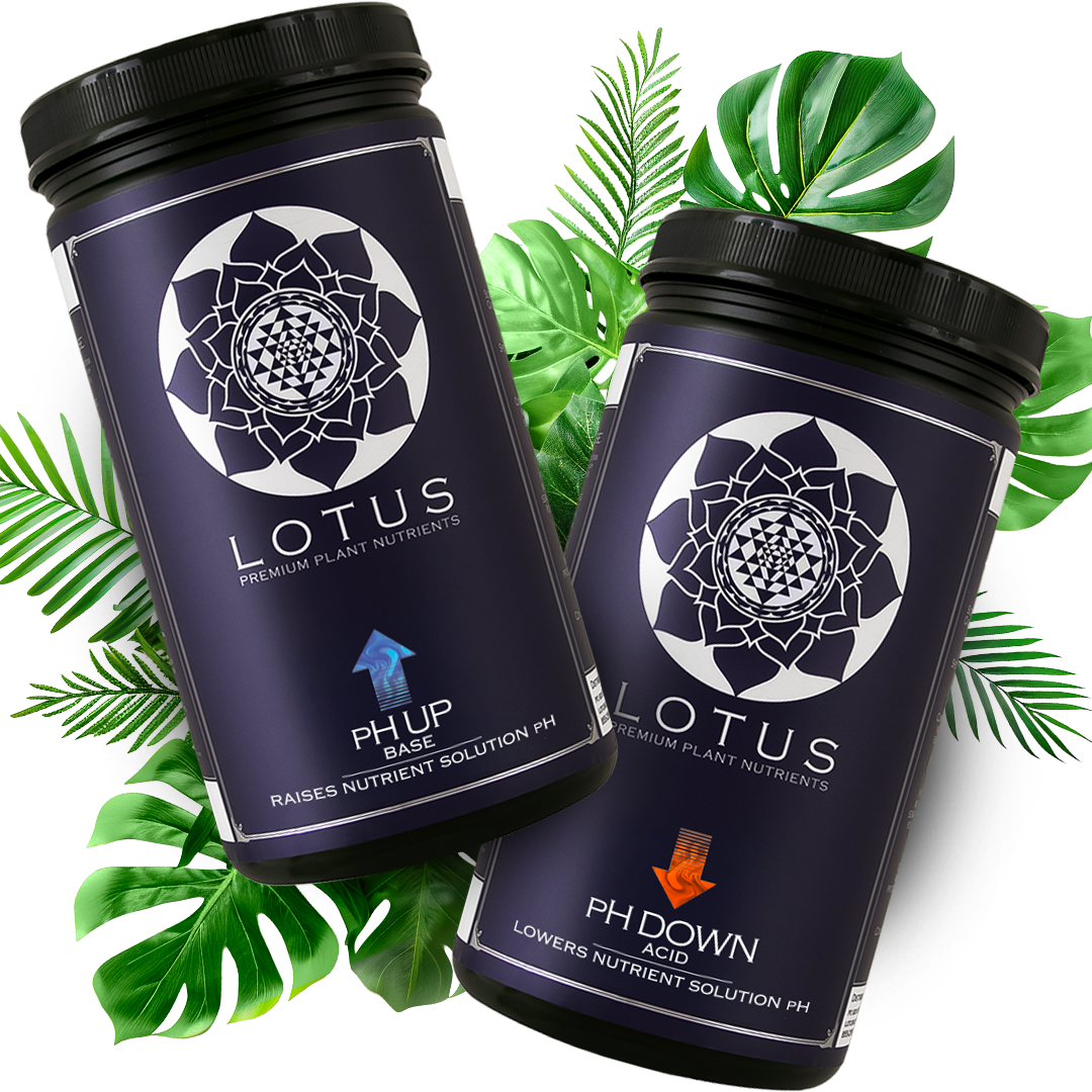 pH Control Kit by Lotus Nutrients: maintain the ideal pH for plant health and nutrient absorption. Essential for hydroponics, soil, and all grow systems!





