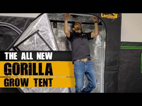 4x4 Grow Tent Perfect Size for Indoor Gardening