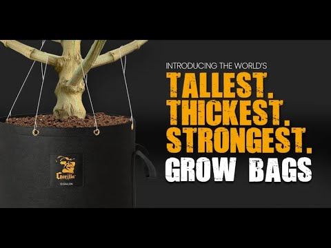 Best Grow Bag 2024: Top Choices for Your Garden